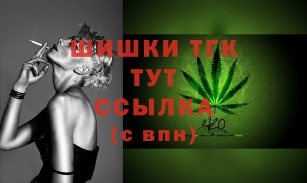 PSILOCYBIN Белокуриха